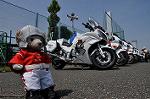 Dcim10127/DSC_6370