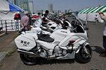 Dcim10127/DSC_6384