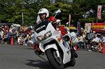 Dcim10128/DSC_6508