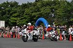 Dcim10128/DSC_6553