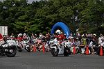 Dcim10128/DSC_6556