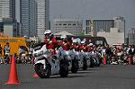Dcim10129/DSC_6608