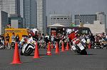 Dcim10129/DSC_6656