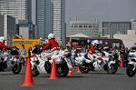 Dcim10129/DSC_6689