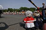 Dcim10131/DSC_6854