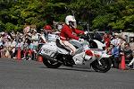 Dcim10131/DSC_6856
