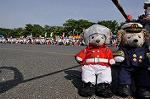 Dcim10131/DSC_6877