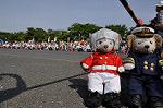 Dcim10131/DSC_6878