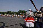 Dcim10131/DSC_6890