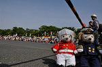 Dcim10131/DSC_6905