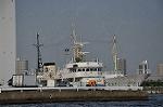 Dcim10131/DSC_6944