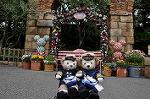 Dcim10133/DSC_7016