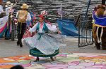 Dcim10134/DSC_7146