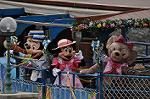 Dcim10135/DSC_7314