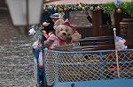 Dcim10135/DSC_7373