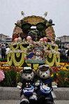 Dcim10135/DSC_7376