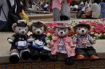 Dcim10137/DSC_7537