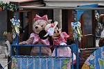 Dcim10138/DSC_7740