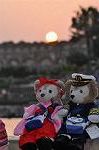 Dcim10140/DSC_8036
