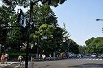 Dcim10143/DSC_8076