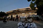 Dcim10143/DSC_8152