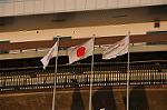 Dcim10143/DSC_8159