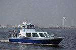 Dcim10153/DSC_9132