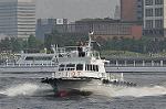 Dcim10154/DSC_9319