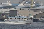 Dcim10154/DSC_9333
