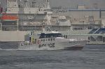 Dcim10154/DSC_9420