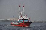 Dcim10155/DSC_9533