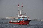 Dcim10155/DSC_9534