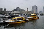 Dcim10167/DSC_0104