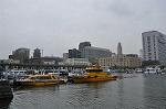 Dcim10167/DSC_0107