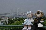 Dcim10168/DSC_0293