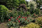 Dcim10169/DSC_0407