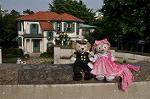 Dcim10171/DSC_0694