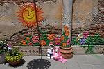 Dcim10177/DSC_1369