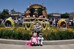 Dcim10178/DSC_1498