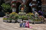 Dcim10178/DSC_1586