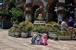 Dcim10178/DSC_1591