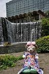 Dcim10184/DSC_2267