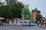 Dcim10186/DSC_2471