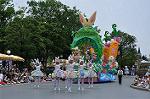 Dcim10186/DSC_2474