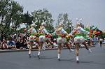 Dcim10187/DSC_2574