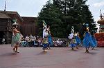 Dcim10193/DSC_3544
