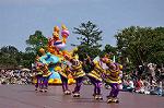 Dcim10195/DSC_3824