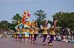 Dcim10195/DSC_3827