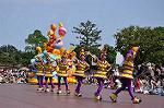 Dcim10195/DSC_3828