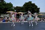 Dcim10197/DSC_4183